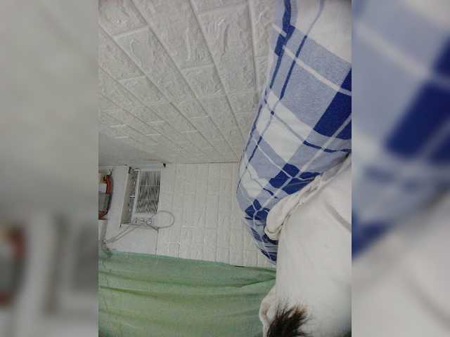 Screenshot di trasmissione single332