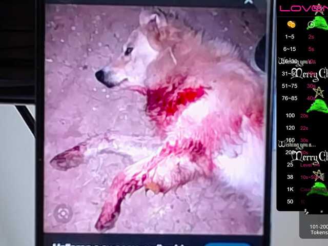 Screenshot di trasmissione sofiaclaus