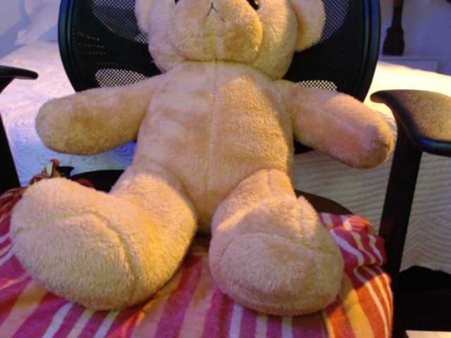 Screenshot di trasmissione SofiaZapata