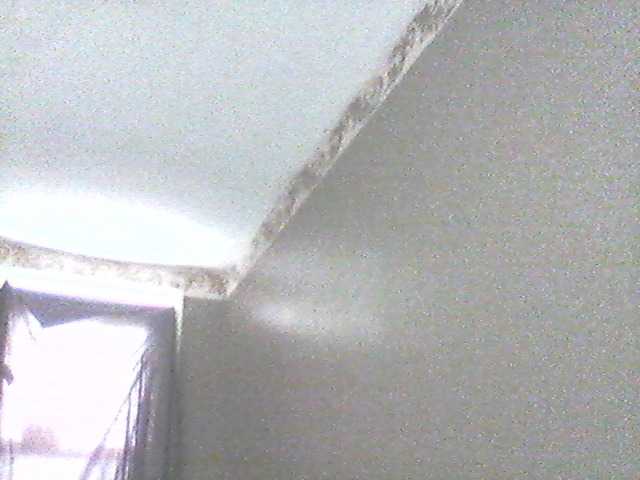 Screenshot di trasmissione supa19kitty