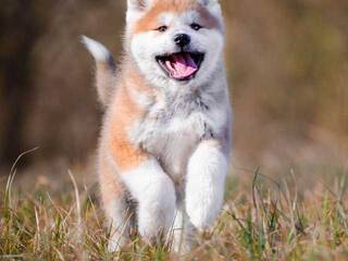 Chat video erotica Val309a