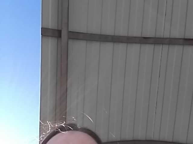 Screenshot di trasmissione Valentines24