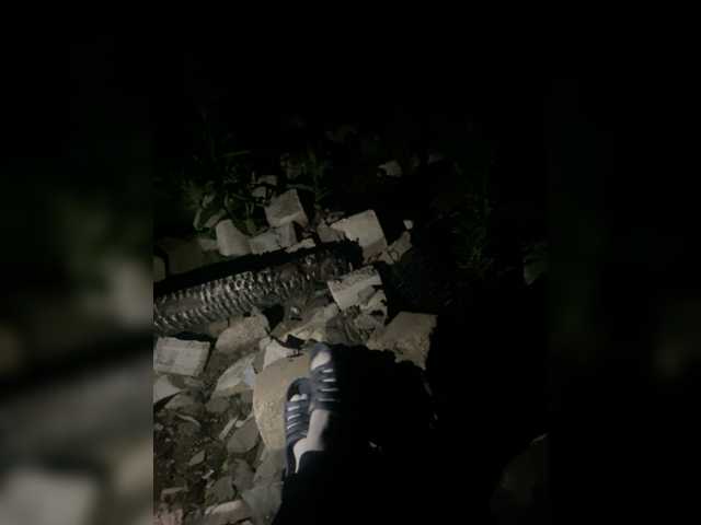 Screenshot di trasmissione Vanessa-25