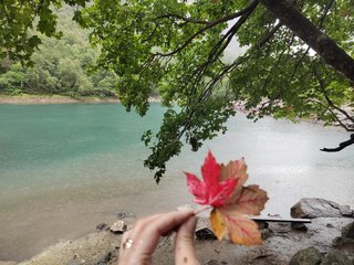 Chat video erotica _GoodGirl_