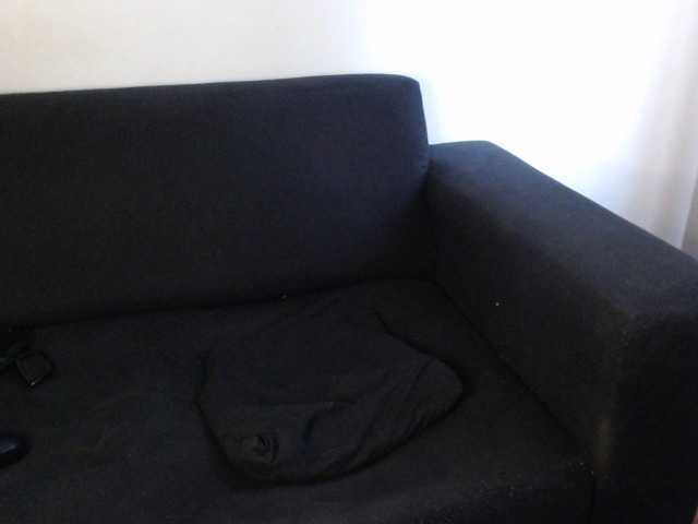 Screenshot di trasmissione WildPetal963