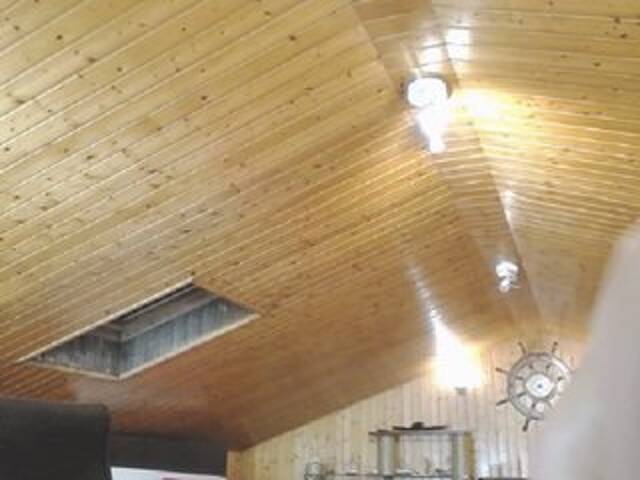 Screenshot di trasmissione Wildtequilla