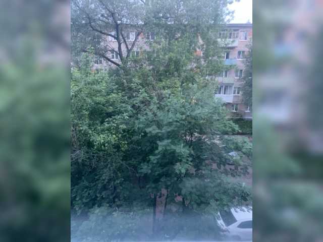 Screenshot di trasmissione Zhozhoba69