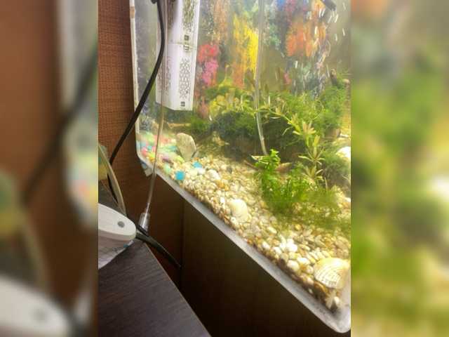 Screenshot di trasmissione Zhozhoba69